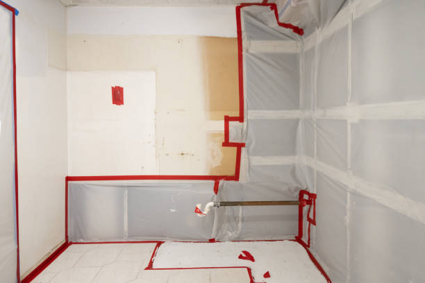 Best Residential Mold Inspection & Testing  in North Seekonk, MA